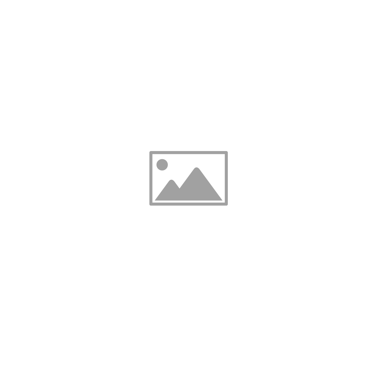 4/20/2025